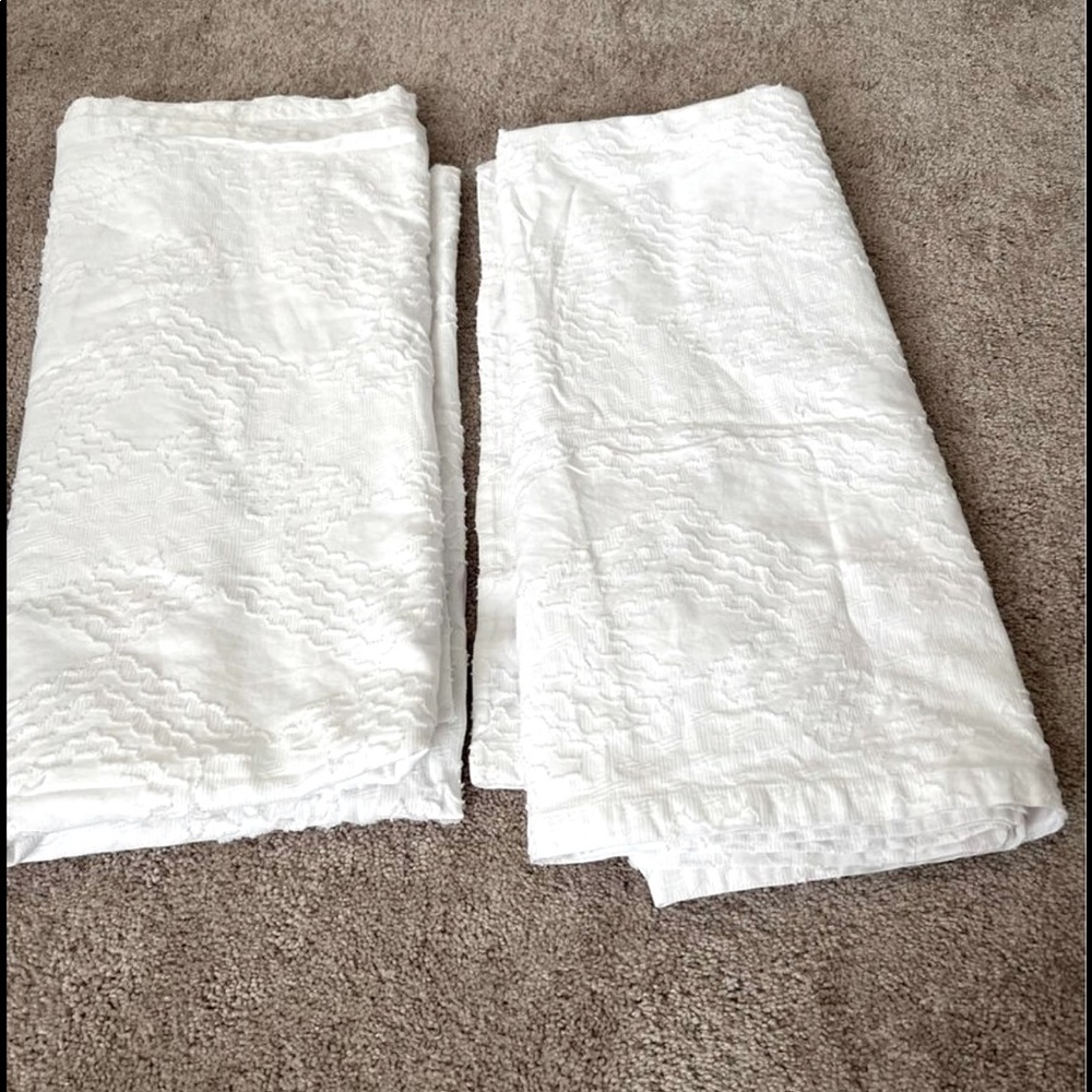 88”L West Elm Roar + Rabbit curtains